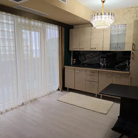 Apartment Ementi Deluxe Navodari