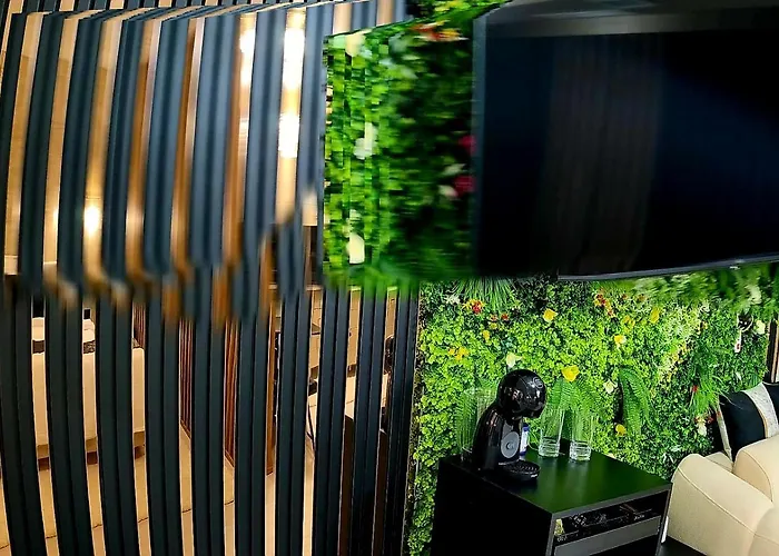 Διαμέρισμα Ementi Deluxe Năvodari